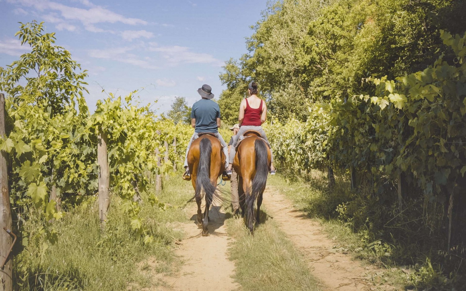Passeggiata a Cavallo con Pic-Nic Toscano